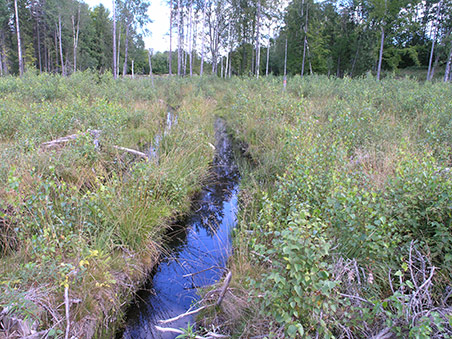 På mountainbike på Utvandrerleden På mountainbike på Utvandrerleden