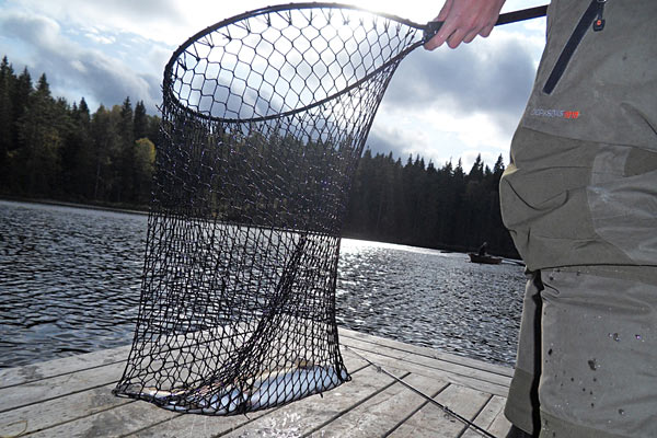 Fiskeri i Hammarsjön Fiskeri i Hammarsjön