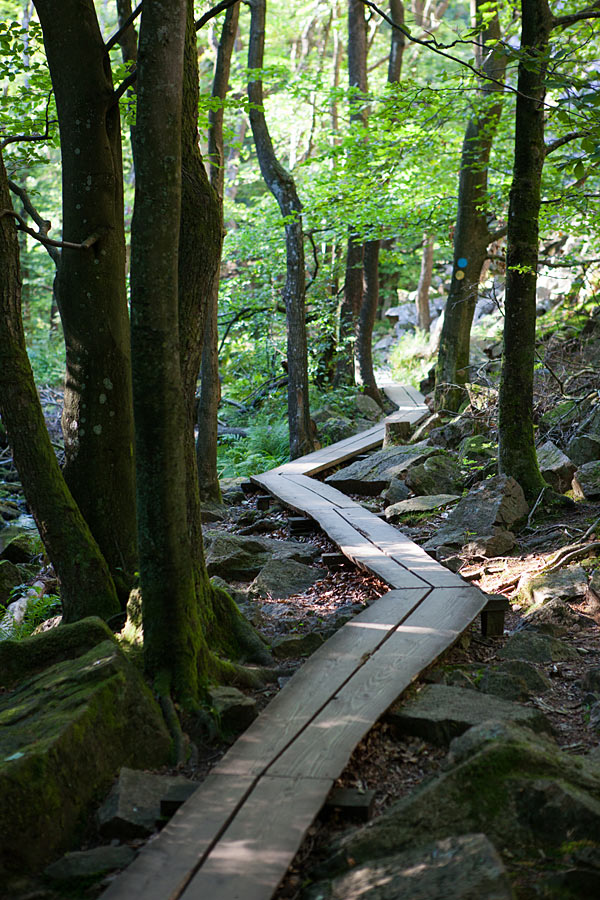 Vandresti i Söderåsens Nationalpark