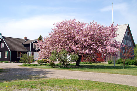 Lagetorps Bed & Breakfast ved Söderåsen Lagetorps Bed & Breakfast ved Söderåsen
