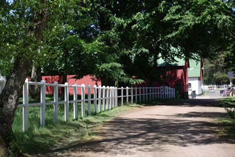 Skummeslöv Bed & Breakfast