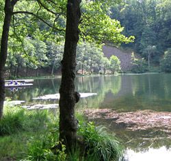 Odensjön