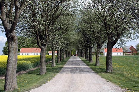 Wirketorp Bed & Breakfast nord for Lund, Sverige Wirketorp Bed & Breakfast nord for Lund, Sverige