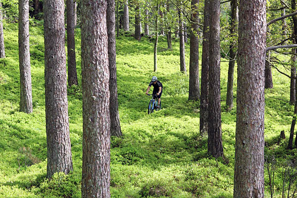 Mountainbike MTB på Hallandsåsen i Sverige Mountainbike MTB på Hallandsåsen i Sverige