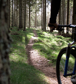 Kør mountainbike mtb på Hallandsåsen i Sverige Kør mountainbike mtb på Hallandsåsen i Sverige