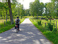 Sydostleden - cykelrute fra Växjö til Simrishamn