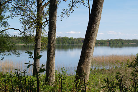Ringsjö Kro og Hotel ligger utroligt smukt ved Ringsjöns sydlige bred Ringsjö Kro og Hotel ligger utroligt smukt ved Ringsjöns sydlige bred
