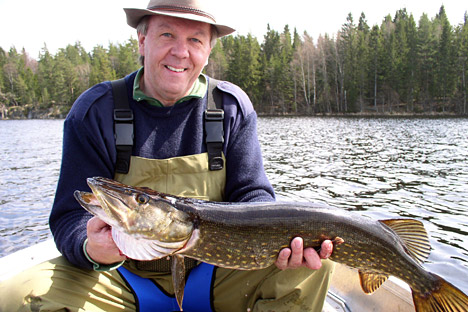Fiskeri efter gedde i Sverige Fiskeri efter gedde i Sverige