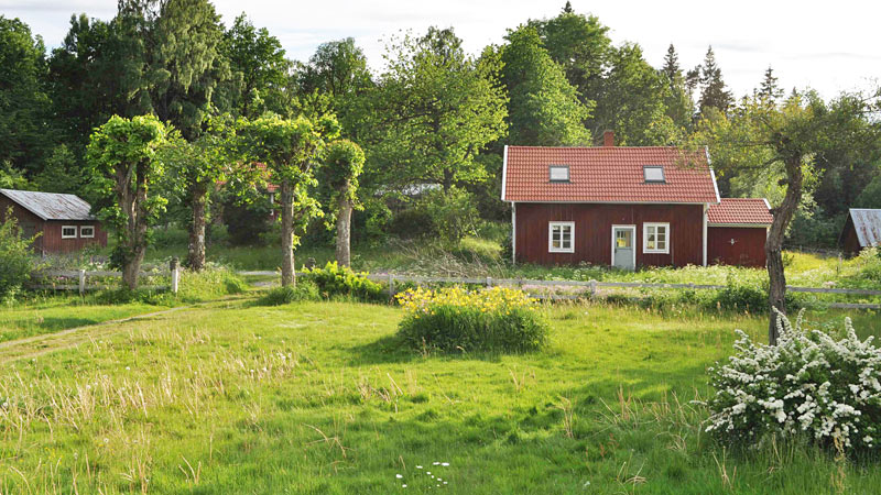 Feriehus med båd nær fiskesø i Smålands højland