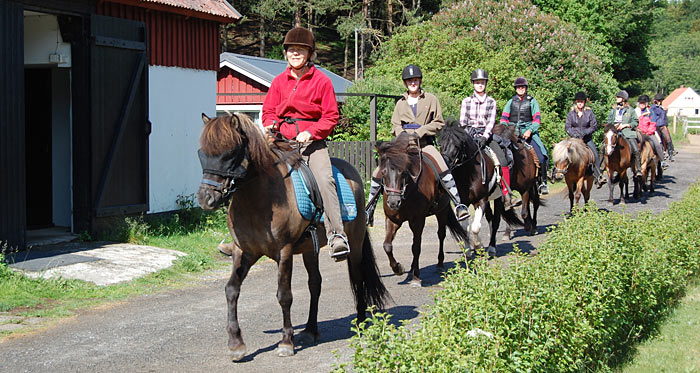 Turridning i Österlen