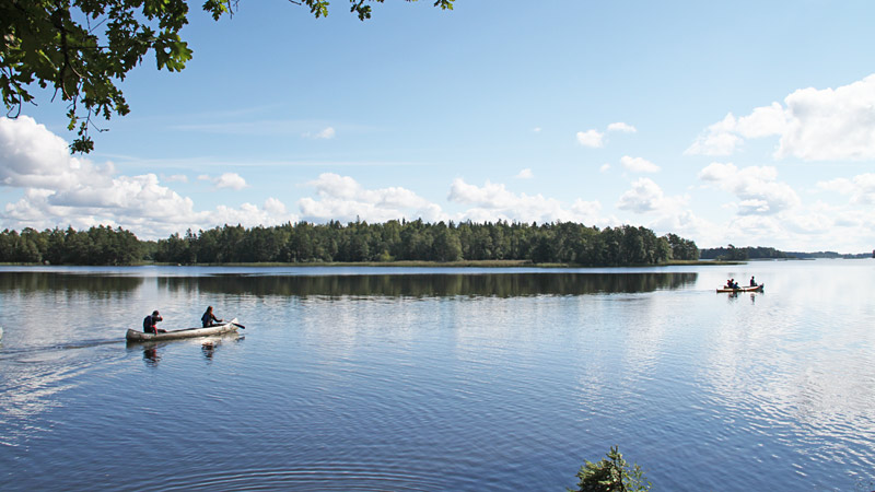 Tag på kajaktur på Åsnen med guide