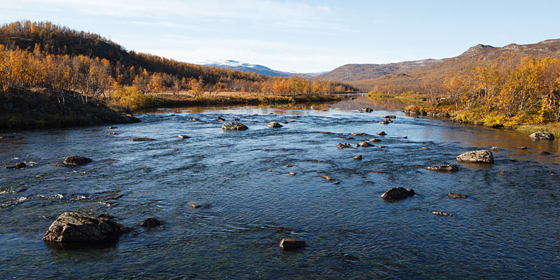 Vandring på Kungsleden: Abiskojaure - Abisko