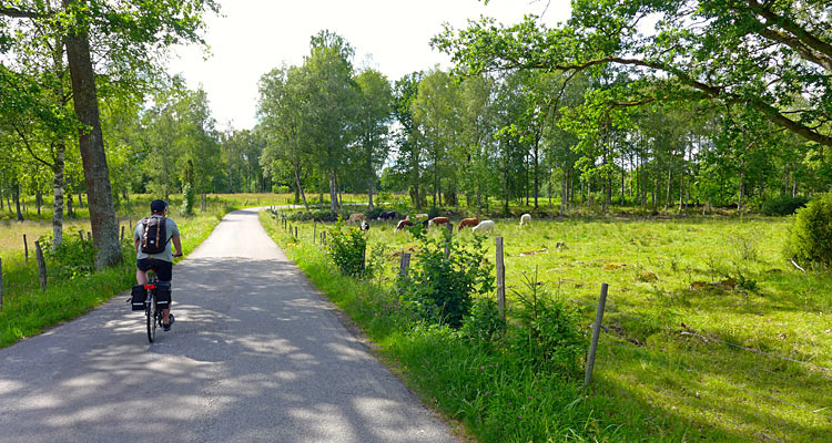 Cykelferie på Sydostleden i Sverige