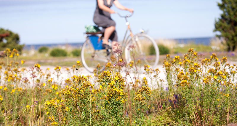 Cykelferie på Gotlandsleden