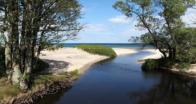 Verkaåns udløb i havet ved Haväng