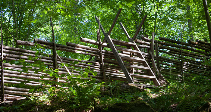 Humlenäs Naturreservat