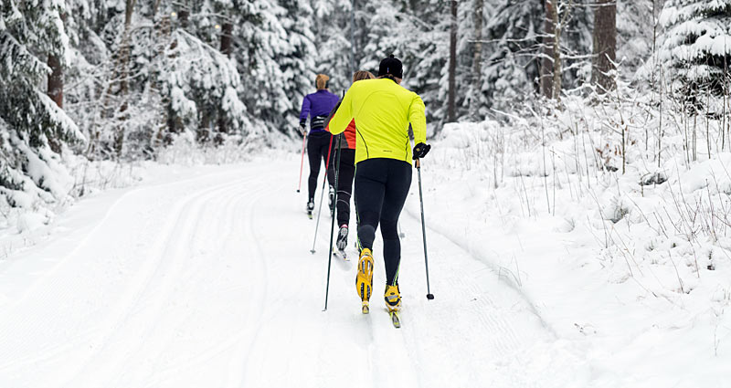 Langrend i Sverige