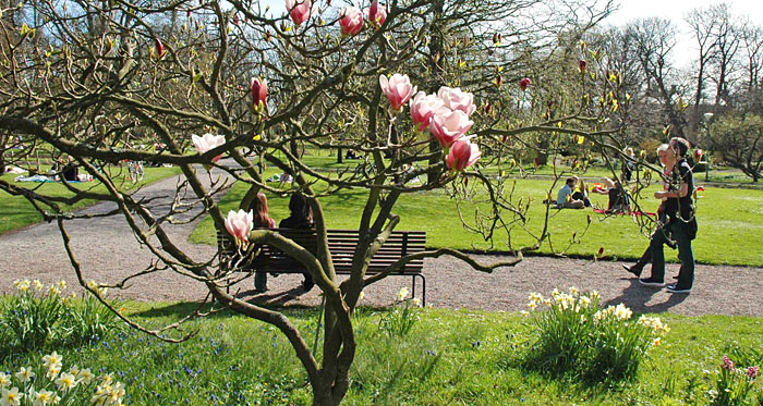 Botaniske Have i Lund