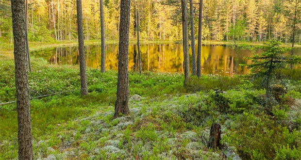 Norra Kvills Nationalpark