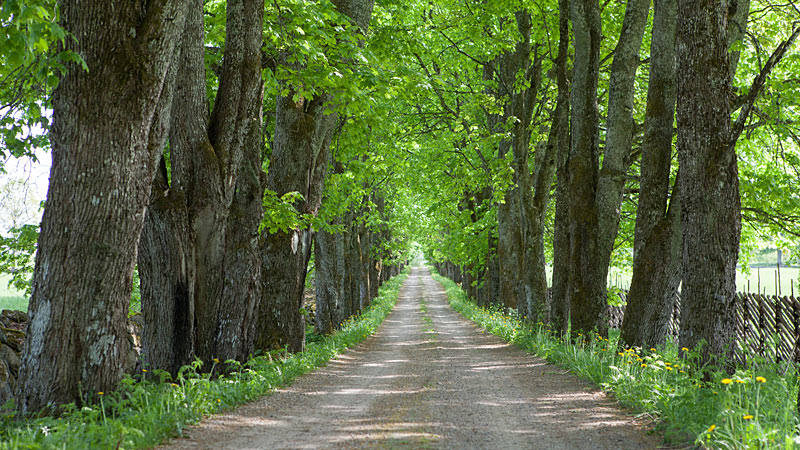 Prästeboda Naturreservat