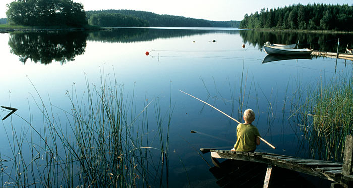 Medefiskeri i Immeln