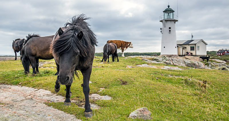 Fyret på Hallands Väderö