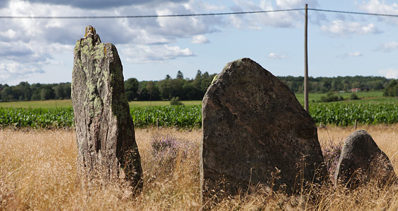 Vätteryds Gravfelt