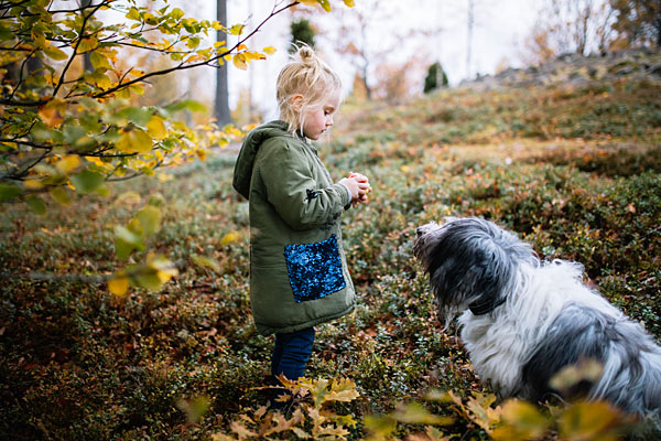 Hunde må ikke løbe efter vildtet