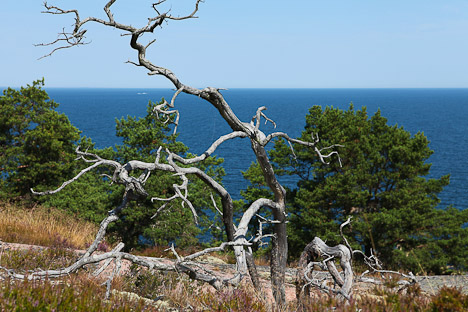 Blå Jungfrun