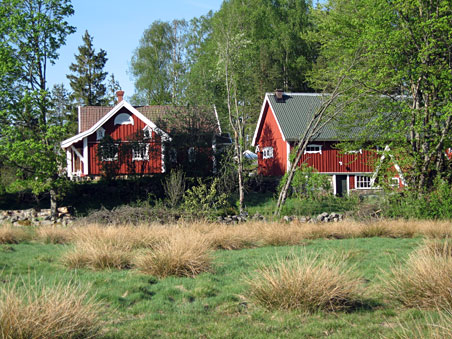 Jeg har langt til naboerne her i skoven... Jeg har langt til naboerne her i skoven...