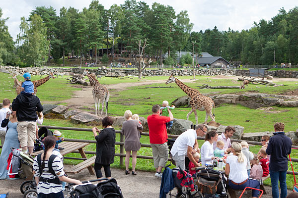 Borås Dyrepark henvender sig først og fremmest til børnefamilier