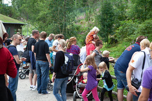 Borås Dyrepark henvender sig først og fremmest til børnefamilier Borås Dyrepark henvender sig først og fremmest til børnefamilier