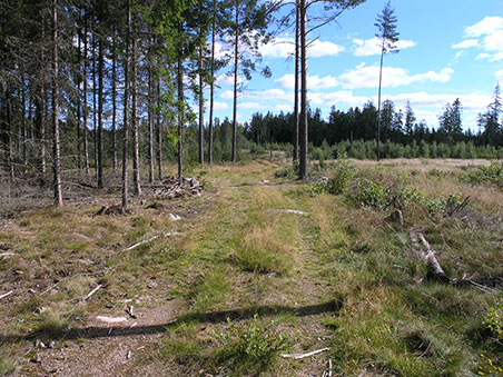 På mountainbike på Utvandrerleden