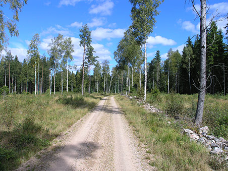 På mountainbike på Utvandrerleden