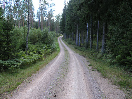 På mountainbike på Utvandrerleden