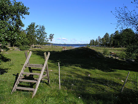 På mountainbike på Utvandrerleden