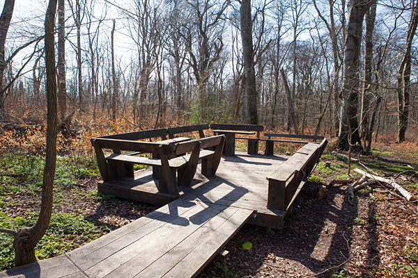 Dalby Söderskog Nationalpark