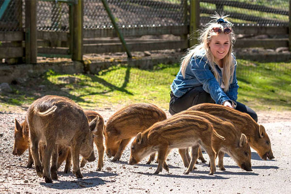 Skånes Dyrepark / Skånes Djurpark