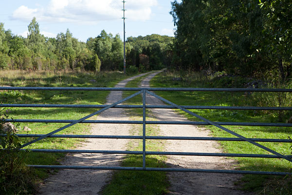 Eneskoven ved Anderstorp