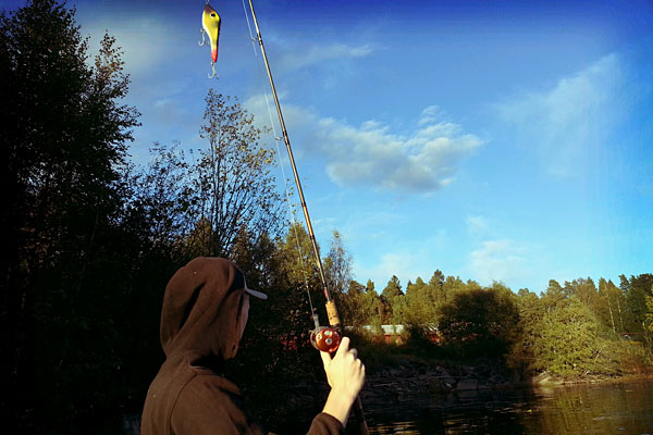 Geddefiskeri i Sverige