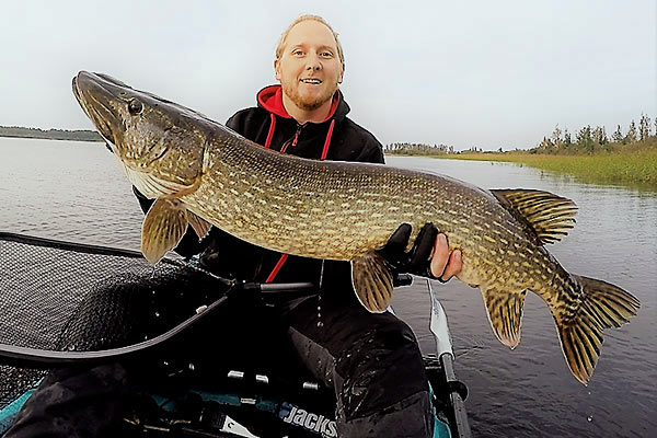 Stor gedde fanget i Örsjön