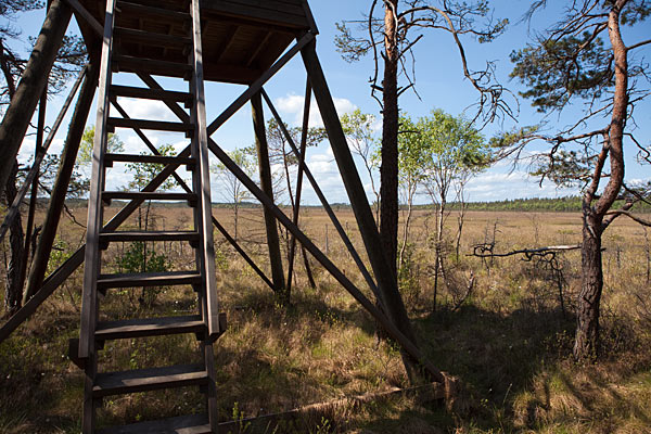 Fugletårn i Gölsjömyren Naturreservat