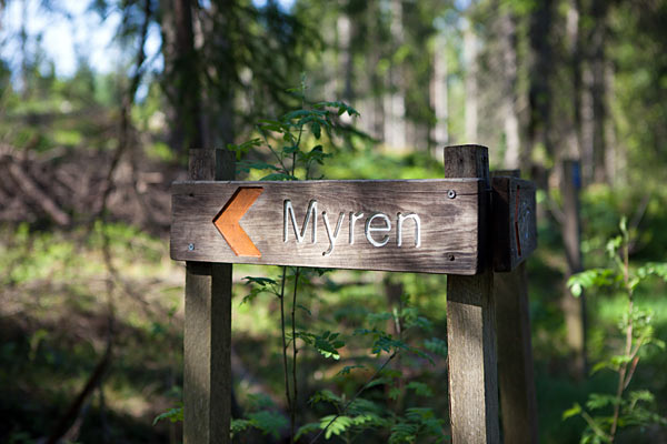 Gölsjömyren Naturreservat