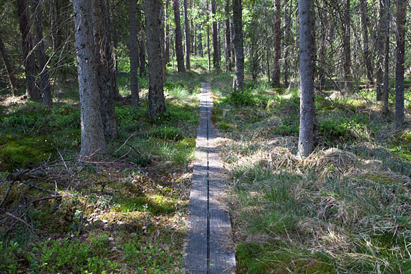 Gölsjömyren Naturreservat