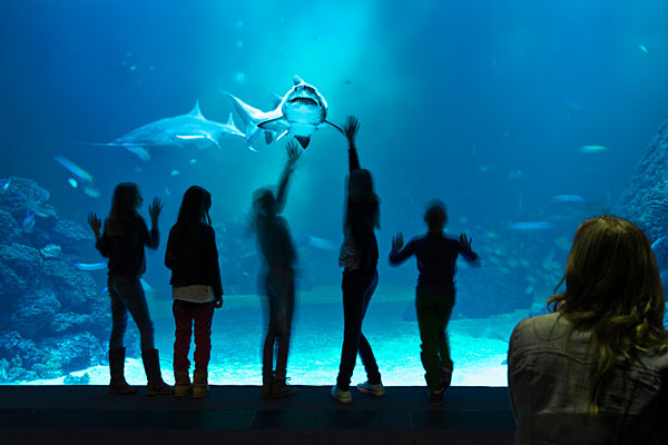 Universeum i Gøteborg