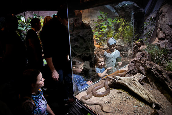 Universeum er et eksperimentarium om naturvidenskab og teknik