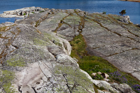 Gränsö Naturreservat ved Västervik