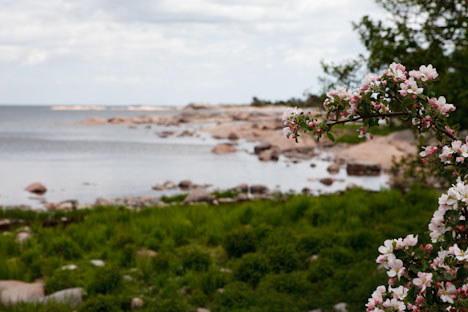 Gränsö Naturreservat ved Västervik