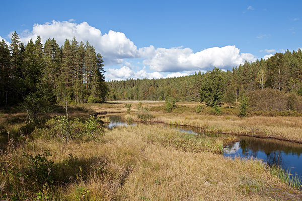 Höglandsleden