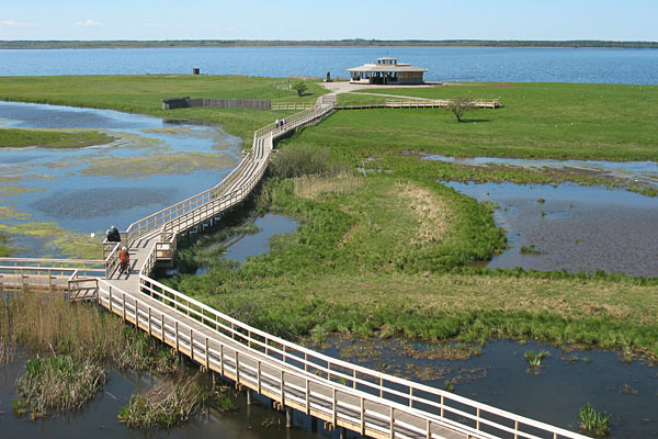 Hornborgasjön